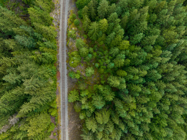 istock Railway track in forest seen from the sky 1446447630