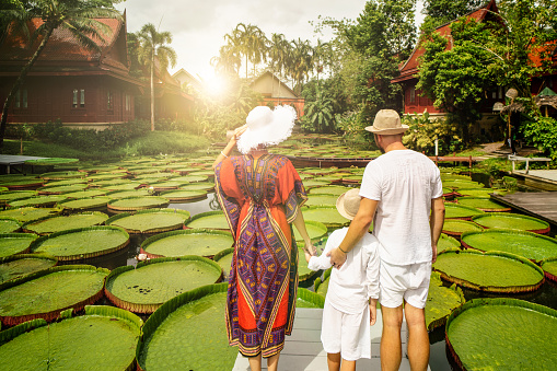 Back view of traveling family looking at beautiful pond with giant lotus flowers. Tropical island. Summer. Real people lifestyle.