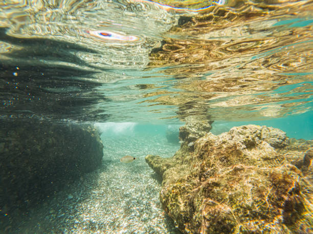 underwater - under the surface imagens e fotografias de stock