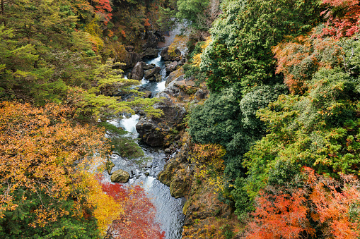 Beautiful autumn leaves scenery in Okutama, Tokyo