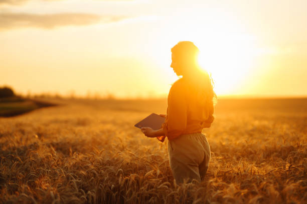 istock Female farmer  with tablet in the field. 1446450390