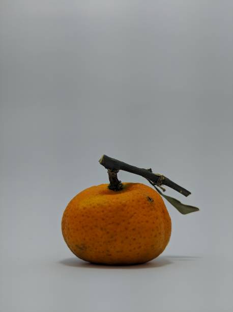 istock Rotten orange isolated on white background. 1446450415