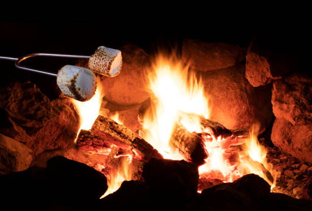 dúo de malvaviscos asándose en una pequeña fogata - fire pit fire camping burning fotografías e imágenes de stock