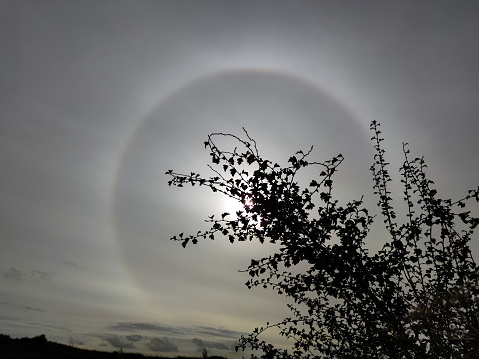 Bright 22 degree circular halo around the sun. Optical phenomenon caused by refraction of sunlight in ice crystals high up in the atmosphere.