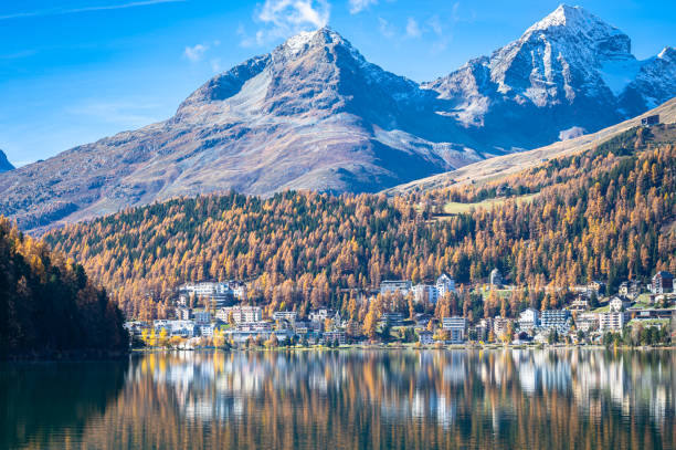 ruhiger see und stadt st. moritz an einem sonnigen herbsttag - engadine alps landscape autumn european alps stock-fotos und bilder