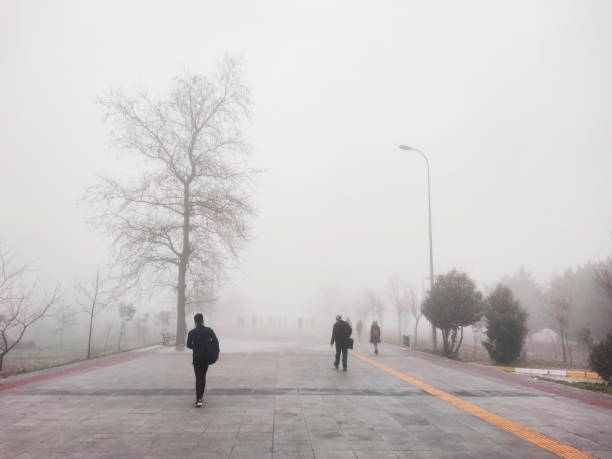 istock People walking in the fog. 1446453759