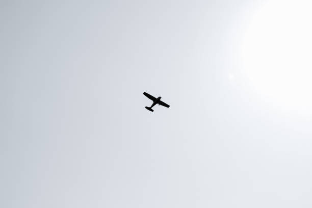 istock Black and white image of a single unidentifiable plane jet flying 1446454964