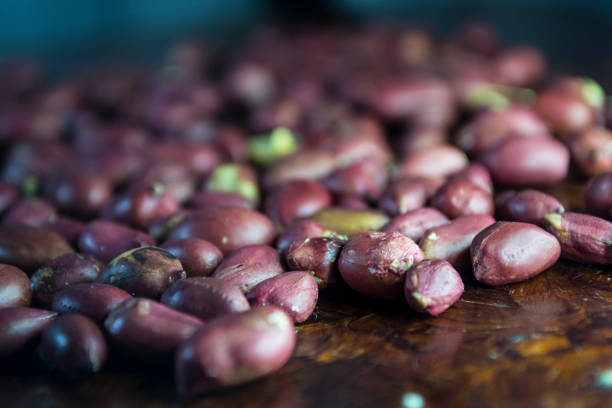 istock Peanut close-up. Can be used as a background screensaver. 1446460296