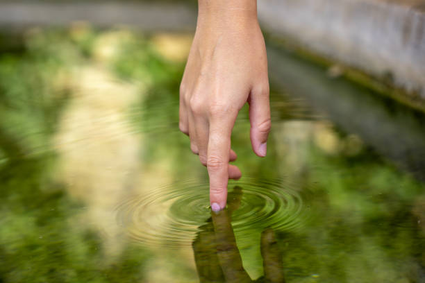 istock Reflection of a hand on the water 1446461170