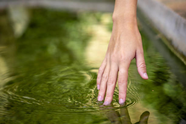 istock Reflection of a hand on the water 1446461194
