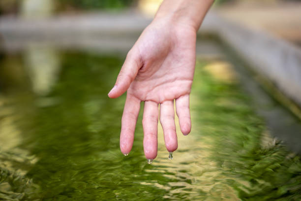 istock Reflection of a hand on the water 1446461207
