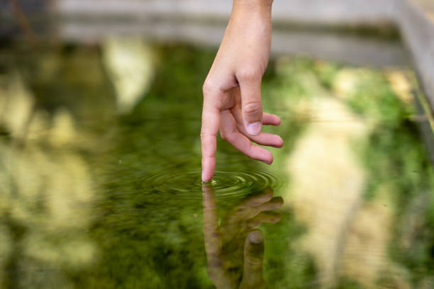 istock Reflection of a hand on the water 1446461211