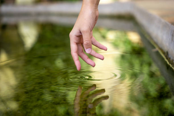 istock Reflection of a hand on the water 1446461213