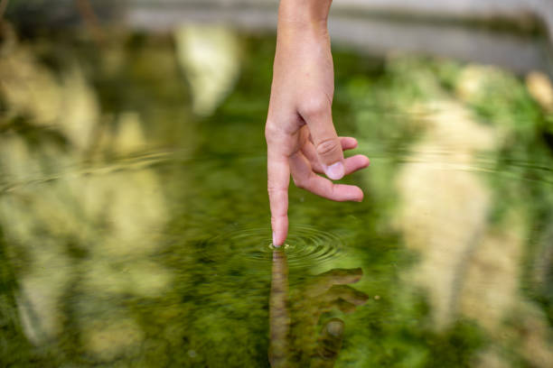 istock Reflection of a hand on the water 1446461239