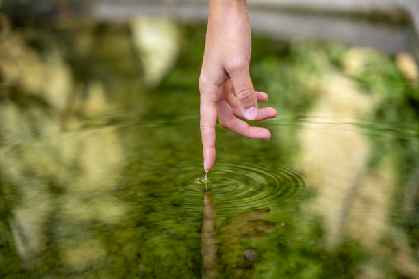 istock Reflection of a hand on the water 1446461244