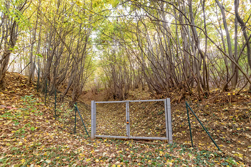 Illegal gate on Fruska Gora mountain in Serbia. Illegal privatization of nature