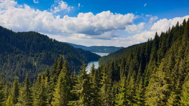 istock Bolboci Lake, Bucegi Mountains, Romania 1446463105