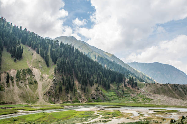 istock Fine Trees forest Landscape Naran Jhalkand 1446463857
