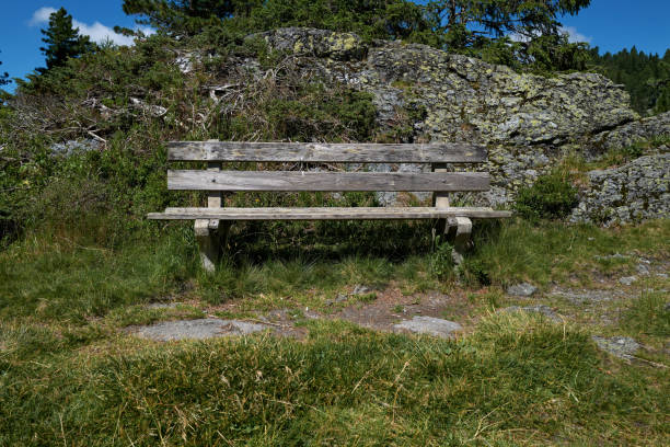 An old bench made of solid wood invites you to take a break at the edge of the forest.