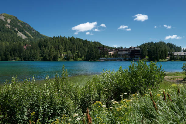 istock Small summery flower meadow with lake II 1446465146