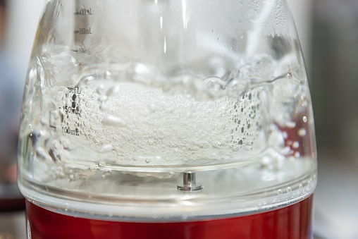 A bird's nest boiled in a kettle is boiling