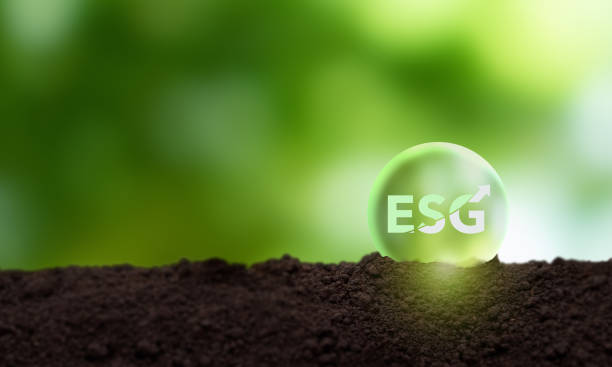 istock ESG achieving and growing sustainability concept. Aim to ptositive impact on the world while also making a profit. Socially responsible investing, ESG factors, impact investing, sustainable investing. 1446470666