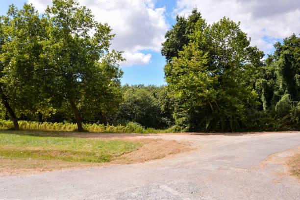 istock European natural countryside 1446471776