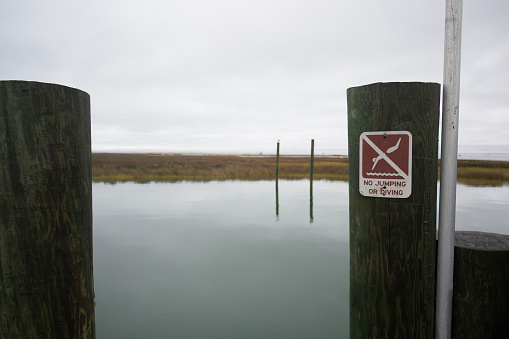 Post with no diving or jumping sign near calm water
