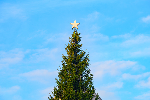 Uppermost portion of spruce tree in daytime, a gift made to the people of Britain by Norway every holiday season since 1947.