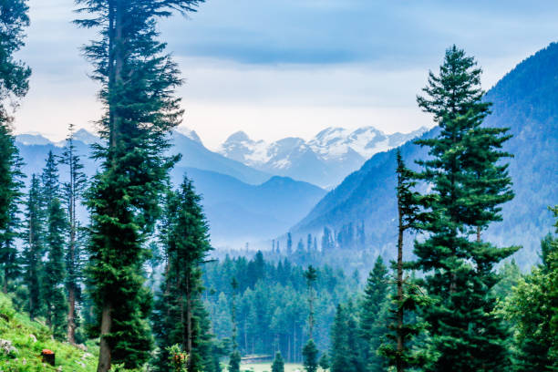 istock Kumrat Valley Beautiful Landscape Mountains View 1446481493