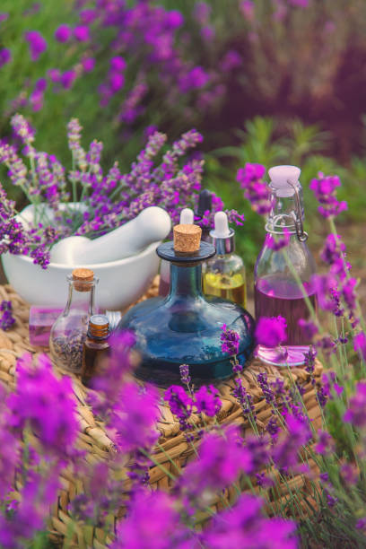 istock Lavender cosmetics in a field with flowers. Selective focus. 1446483171