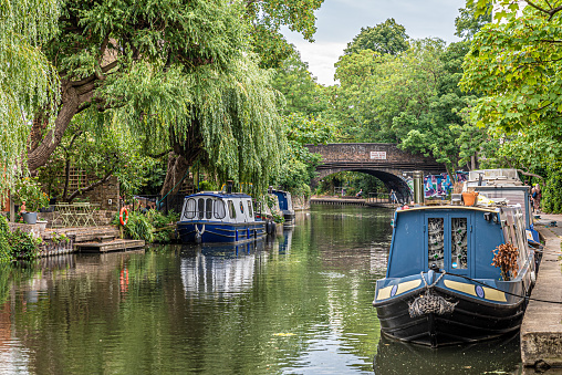 Ruhig im Wasser liegende Hausboote mit viel Natur auf dem Regent’s Canal im Londoner Stadtteil Camden