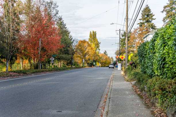 istock Seatac Street Autumn Trees 12 1446488536