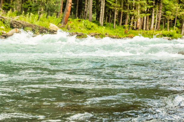 River of Kumrat Valley Beautiful Landscape Forest View