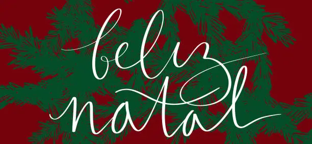 Vector illustration of Merry Christmas in portuguese Feliz Natal handwritten lettering calligraphy. Spruce fir tree branch hand drawn illustration. Vector web banner