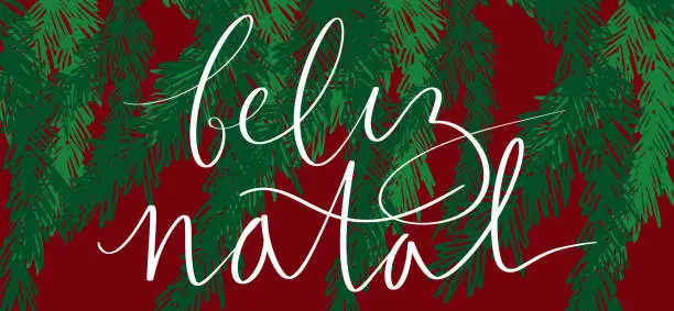 Vector illustration of Merry Christmas in portuguese Feliz Natal handwritten lettering calligraphy. Spruce fir tree branch hand drawn illustration. Vector web banner