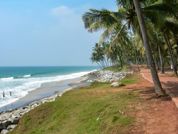 istock Palm trees on the coast of Varkala 1446490561