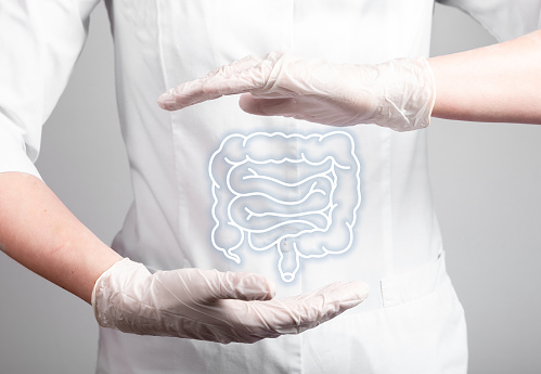 Intestine, colon, bowel in doctor hands. Digestive and gastrointestinal diseases concept. Gastroenterology and healthy microbiota. Guts, constipation microflora care. High quality photo