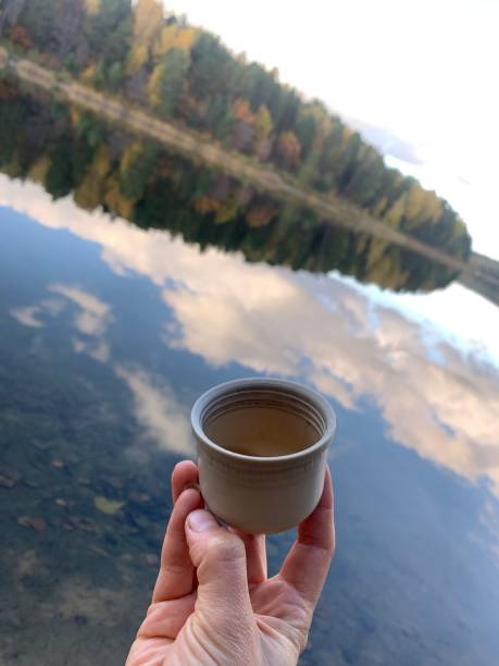 istock Person hold a cup with hot tea 1446495113
