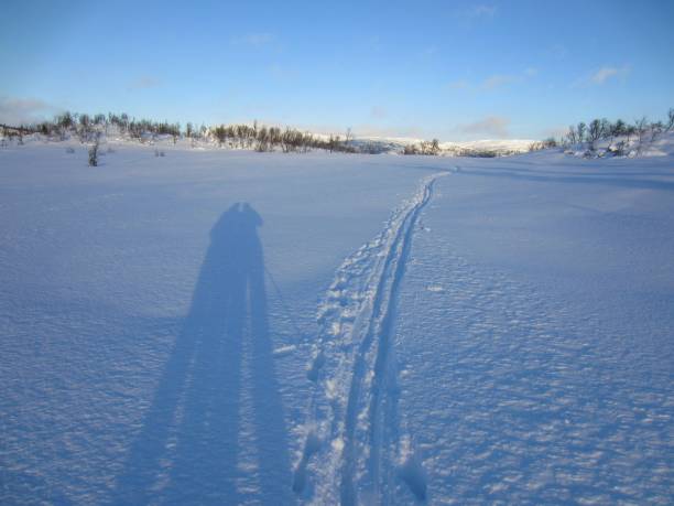 2人の長い影と雪の中のクロスカントリースキートラック - skiing telemark skiing ski two people ストックフォトと画像