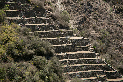 Sector Llamas. A representation of a Llamas with white rocs in one of the terraces in ruins of Choquequirao, an Inca archaeological site in Peru, similar in structure and architecture to Machu Picchu.
