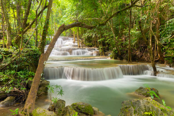 wodospad erawan. krajobraz przyrody dzielnicy kanchanaburi w okolicy naturalnej. znajduje się w tajlandii na wycieczkę na wakacje i wakacje tle, atrakcją turystyczną. - travel travel locations nature erawan zdjęcia i obrazy z banku zdjęć