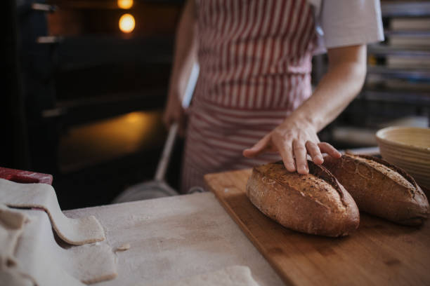 istock Close-up of baker with fresh bread. 1446505132