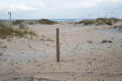 Wooden barricade post amongst sand dunes at the beach