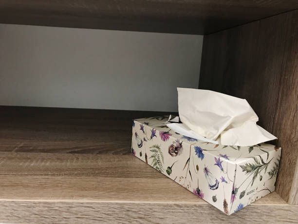 istock a box with paper tissues for hands and face 1446507006
