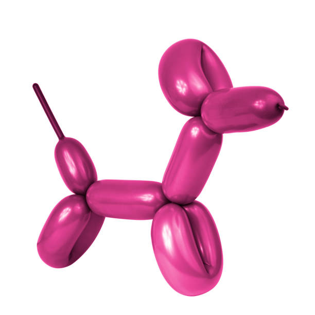 istock Bright balloon dog toy isolated on the white background 1446509379