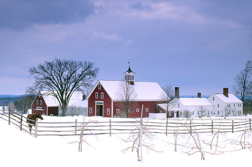 Lovely winter scene in Hollis, New Hampshire. Soft blue sky over rooftops of farm buildings covered with fresh snow and lone horse standing alongside split-rail fence.