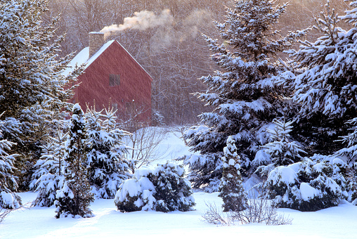 Winter scene in Pepperell, Massachusetts. White smoke rising from stone chimney of cozy warm home while  snowstorm covers branches of evergreen trees with fresh snow.