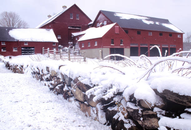 istock Fresh Snow on Stone Wall and Rooftop of Red Barns 1446511981
