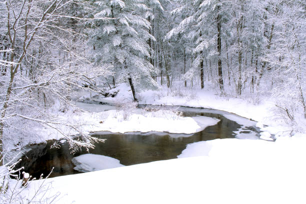 istock Winter Scene with Snow along Winding Treelined River 1446511984